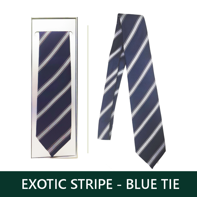 TIE EXOTIC STRIPE (BLUE)